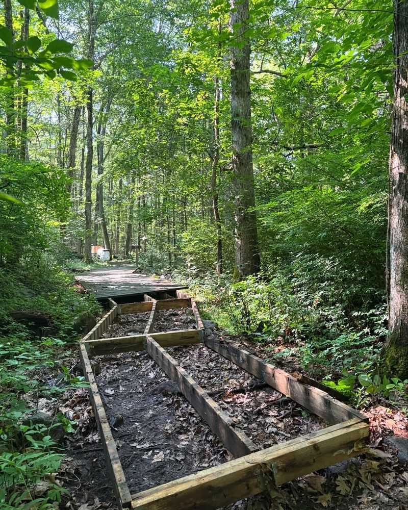 Bartlett Arboretum's Forgotten Pathways