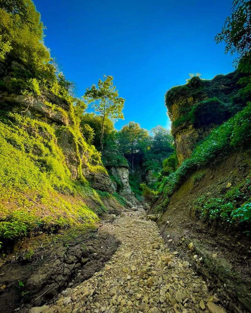 Grand Gulf State Park's 'Little Grand Canyon'