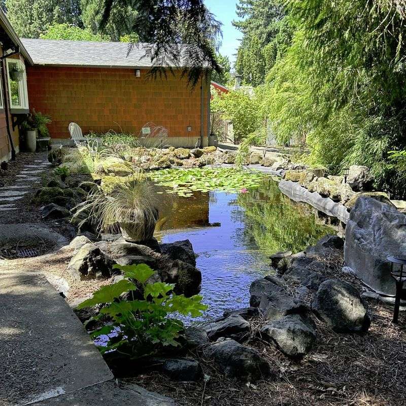 Maintain Year-Round Water