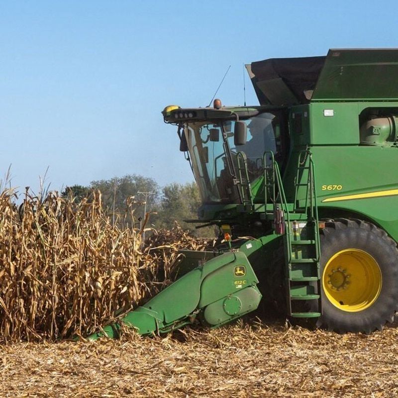 Time Your Harvest Strategically