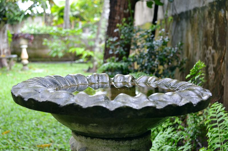 Offering A Clean Water Source