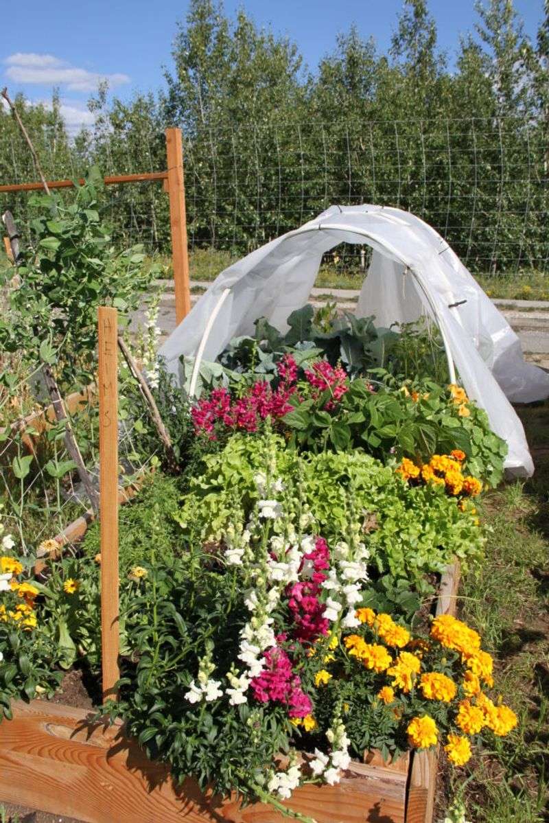 Arctic Village Plant Refuges