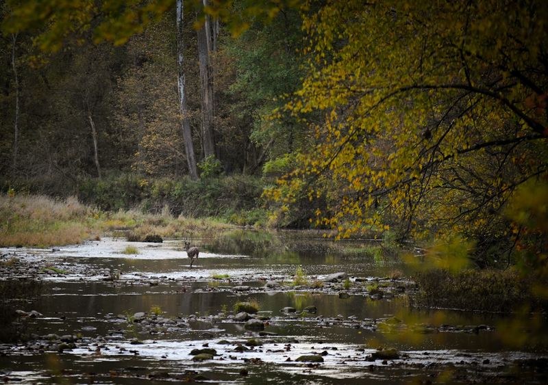 Big Walnut Nature Preserve