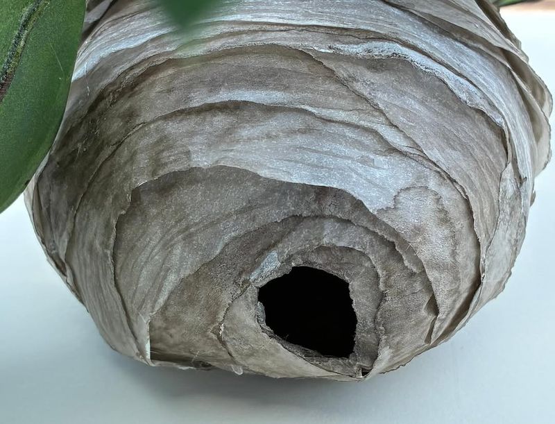 Prevent Future Nests Through Habitat Modification