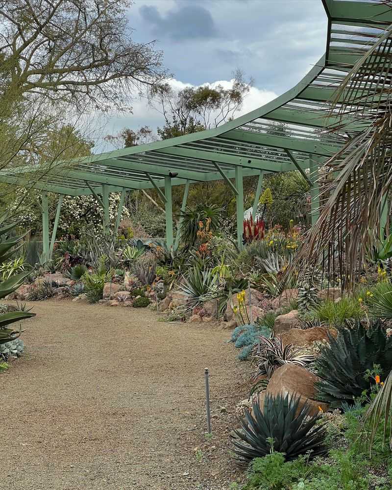 The Ruth Bancroft Garden