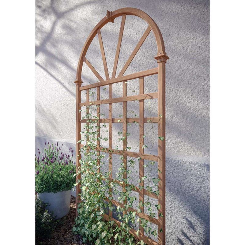 Window Frame Trellis Network