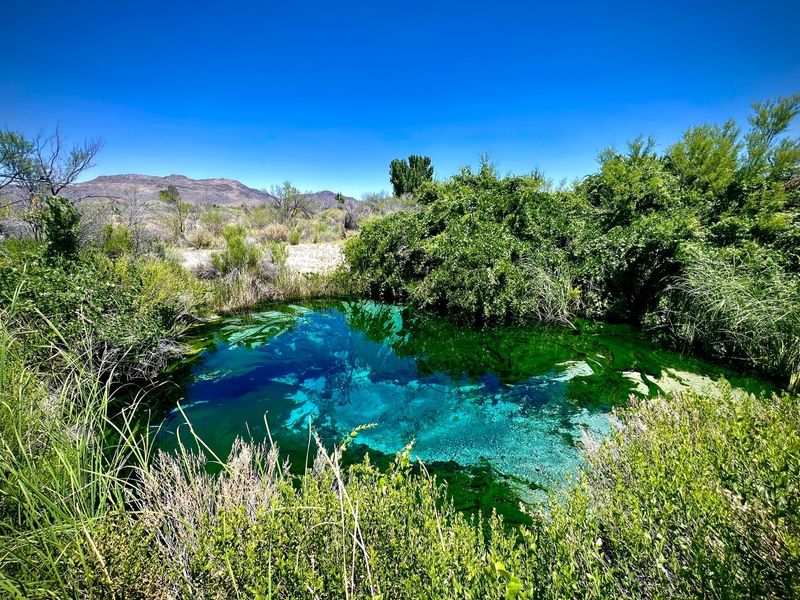 Ash Meadows National Wildlife Refuge