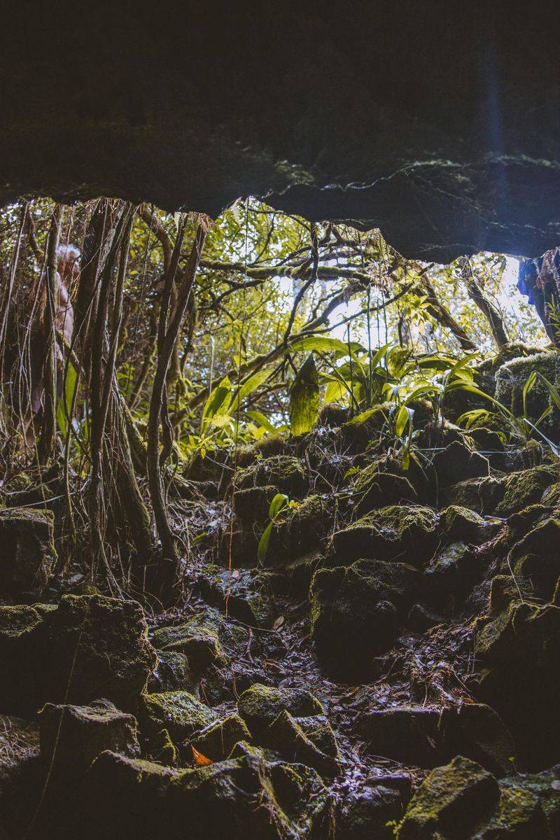 The Forgotten Orchid Caves Of Puna