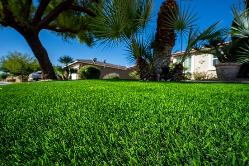 Artificial Turf