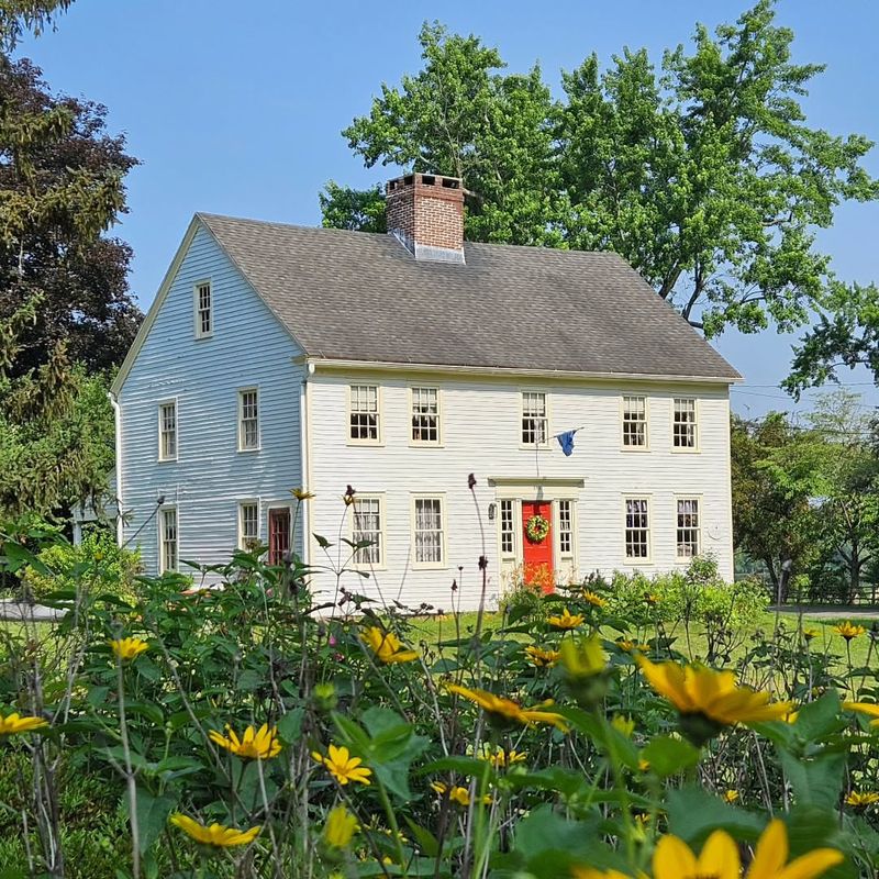Roses Rule In Old Wethersfield