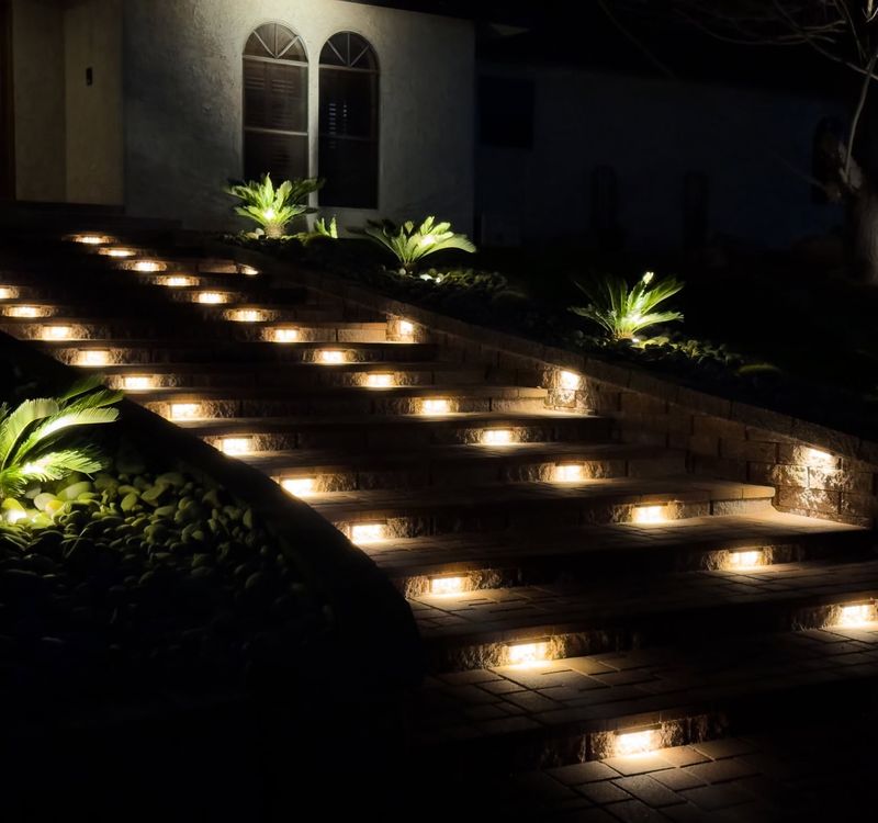 Artificial Night Lighting Shortens Mating Windows