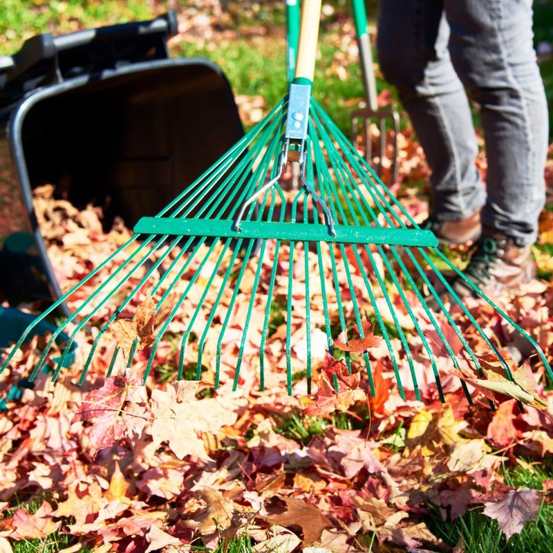Using The Right Equipment For Your Yard Size