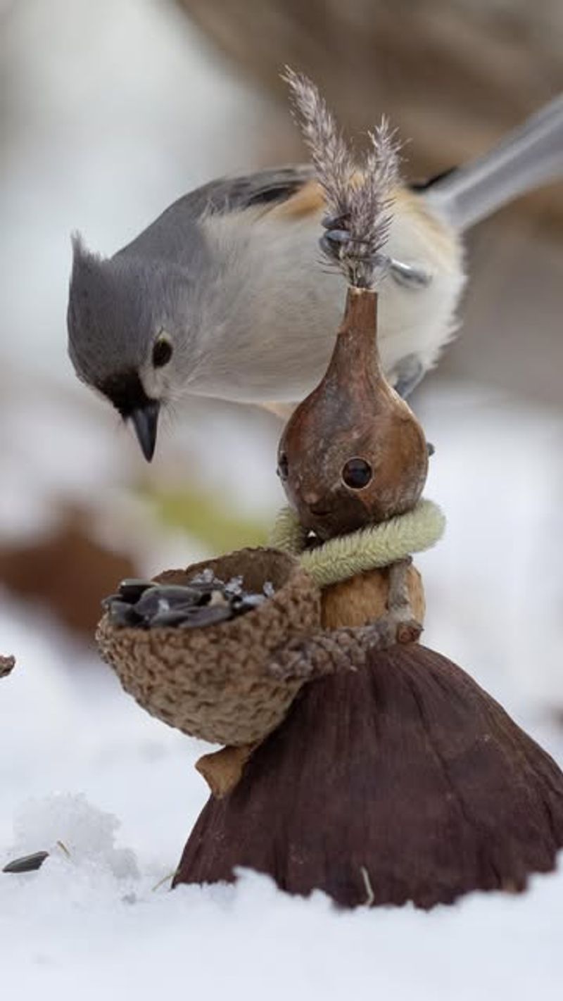 Oak Titmouse: The Acorn Guardian