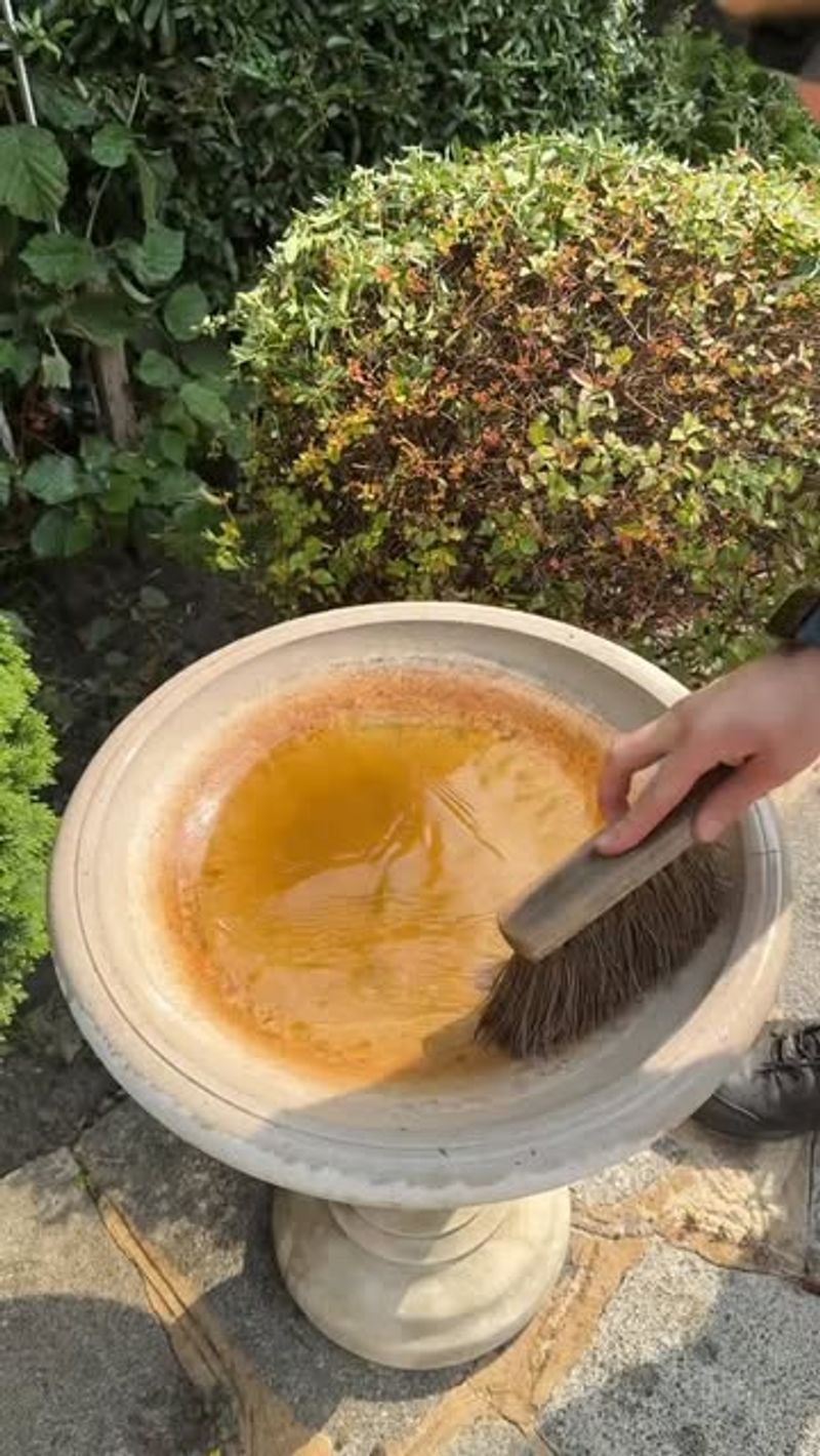Forgetting To Clean Regularly (Quick Fix Inside)