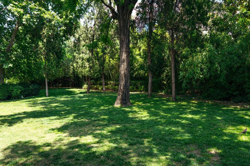 Neglecting Shaded Areas With Different Needs
