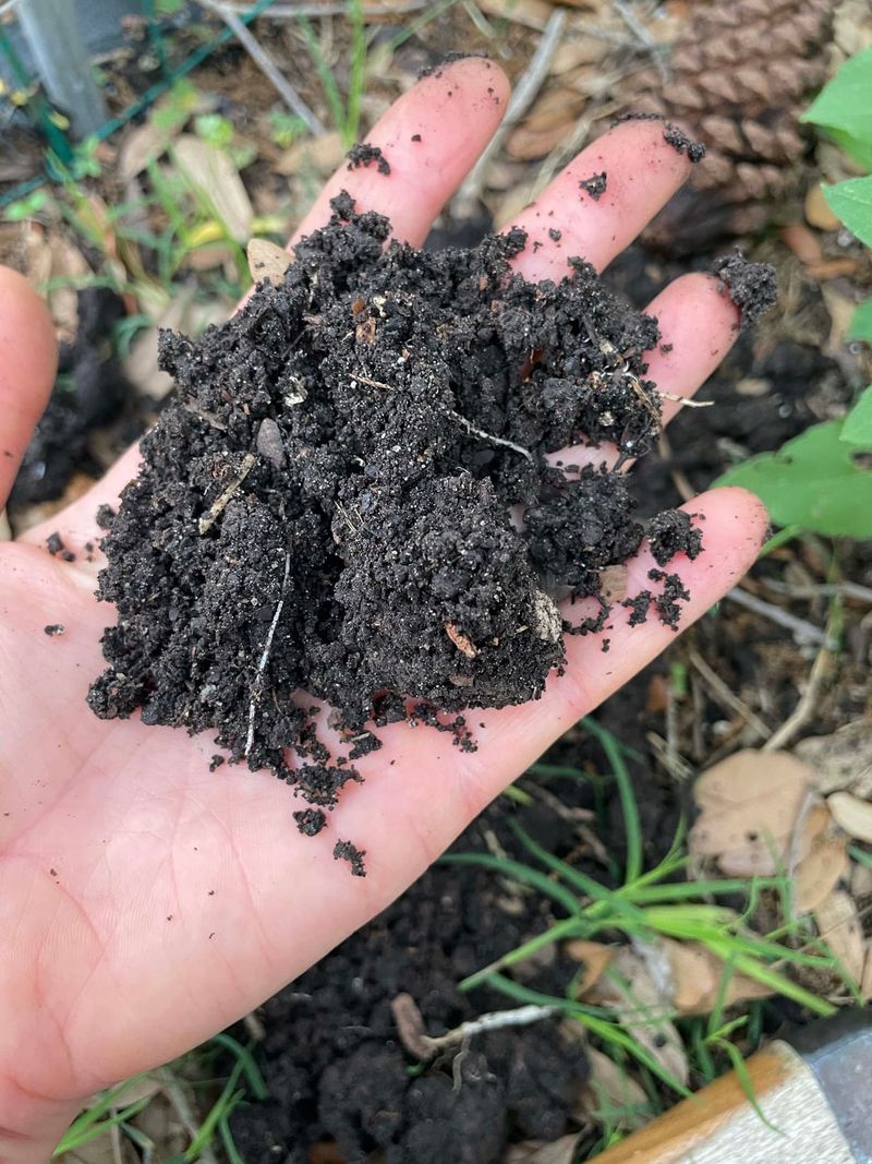 Skipping Soil Preparation