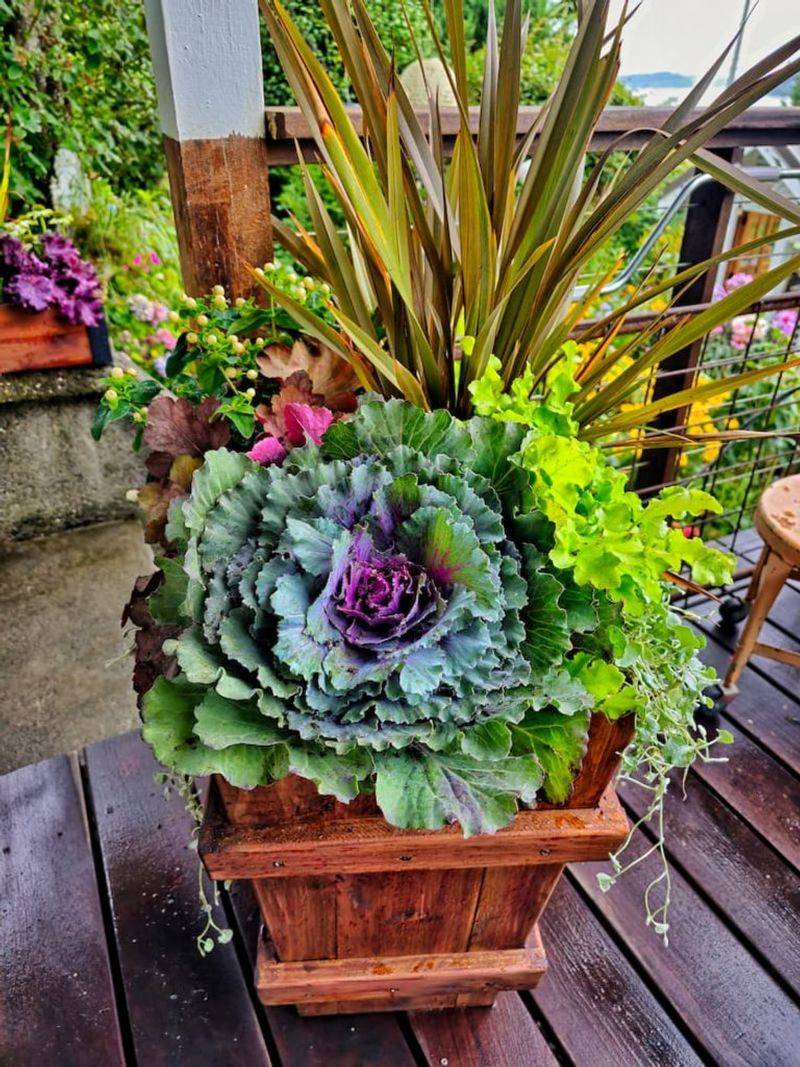 Sage And Cabbage Tower