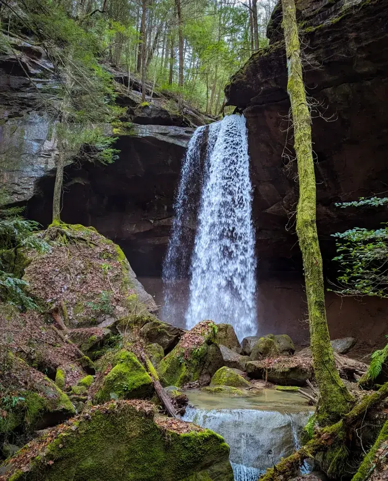 Sipsey Wilderness
