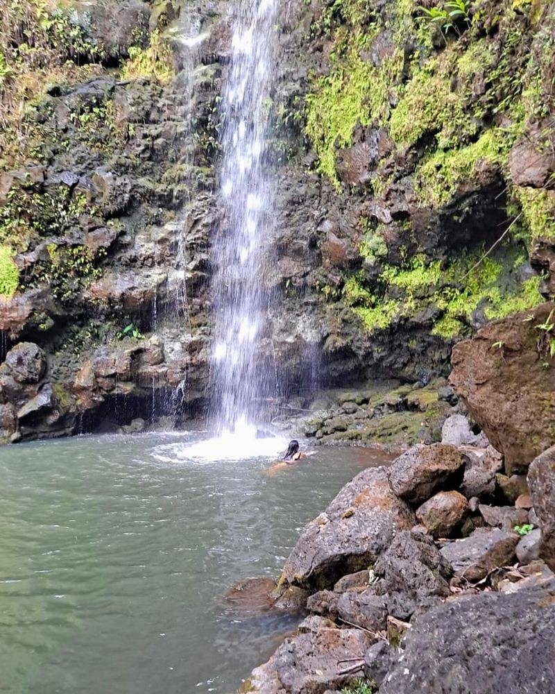 Mālama 'Āina: Caring For The Land That Cares For You