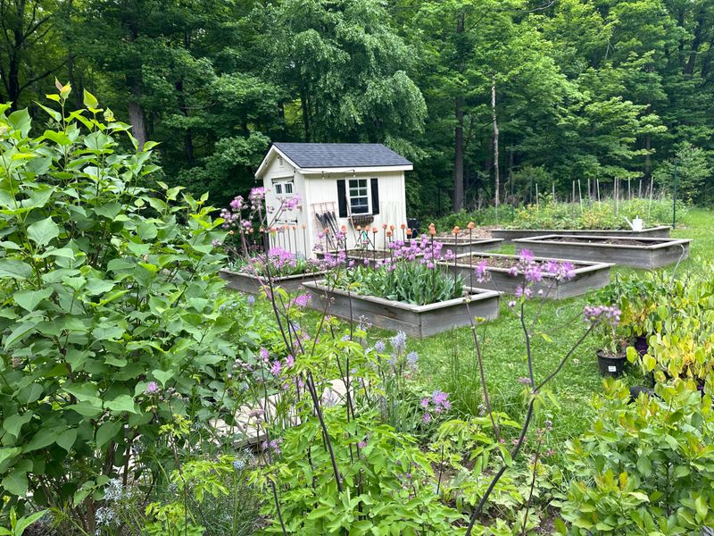 Woodland Edge Gardens Blend Wild And Cultivated