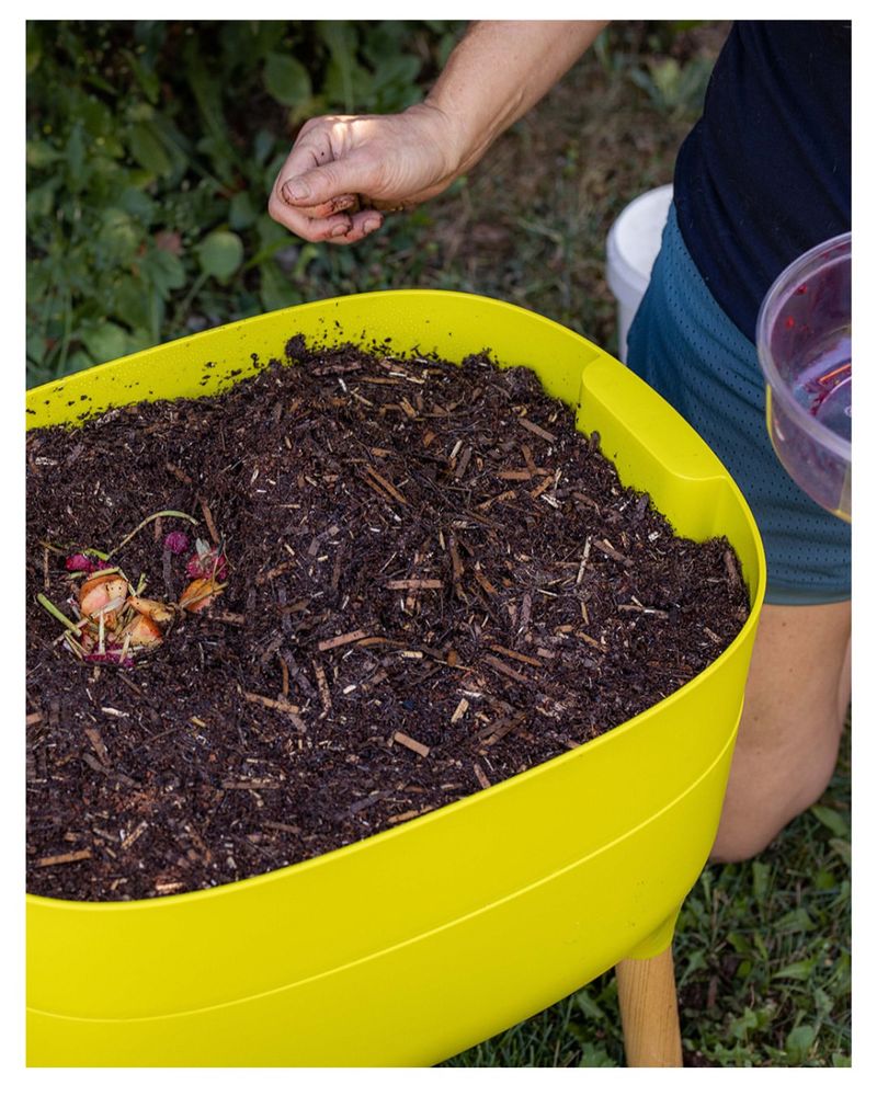 Winter Composting Champion For Year-Round Gardeners
