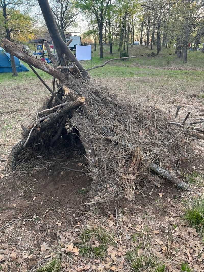 Brush Teepee