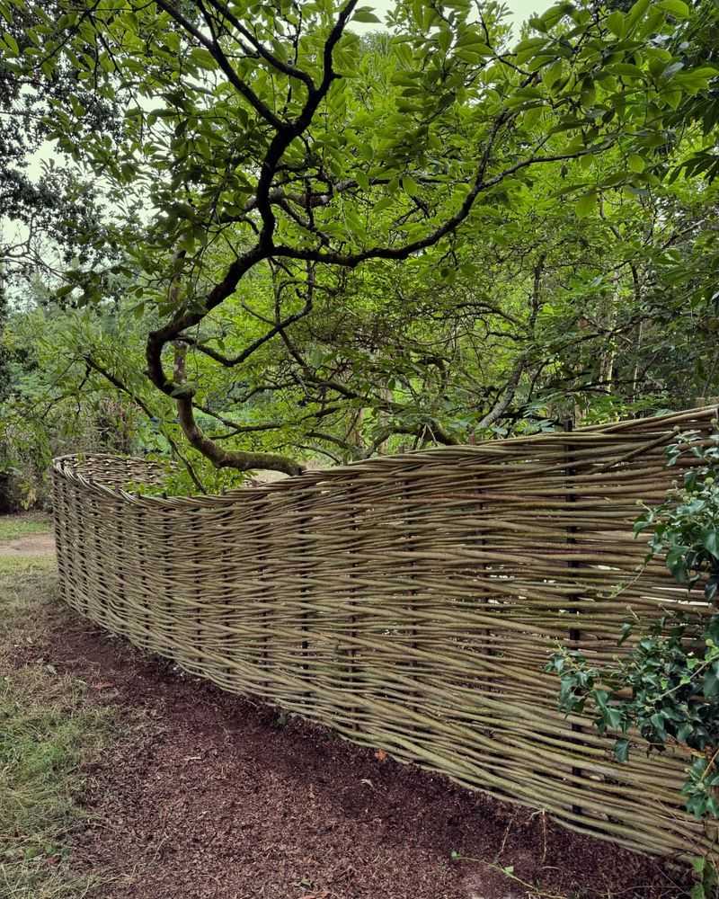 Woven Willow Fencing