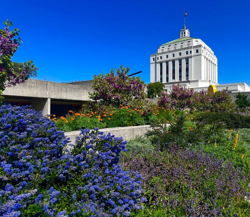 Oakland's Courtyard Gardens