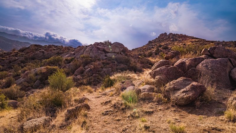 Embudo Canyon Trail