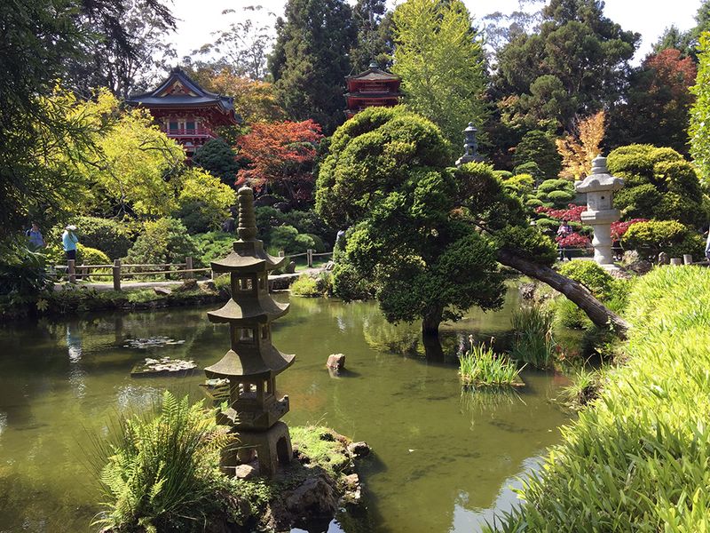 Japanese Tranquility In Golden Gate Park