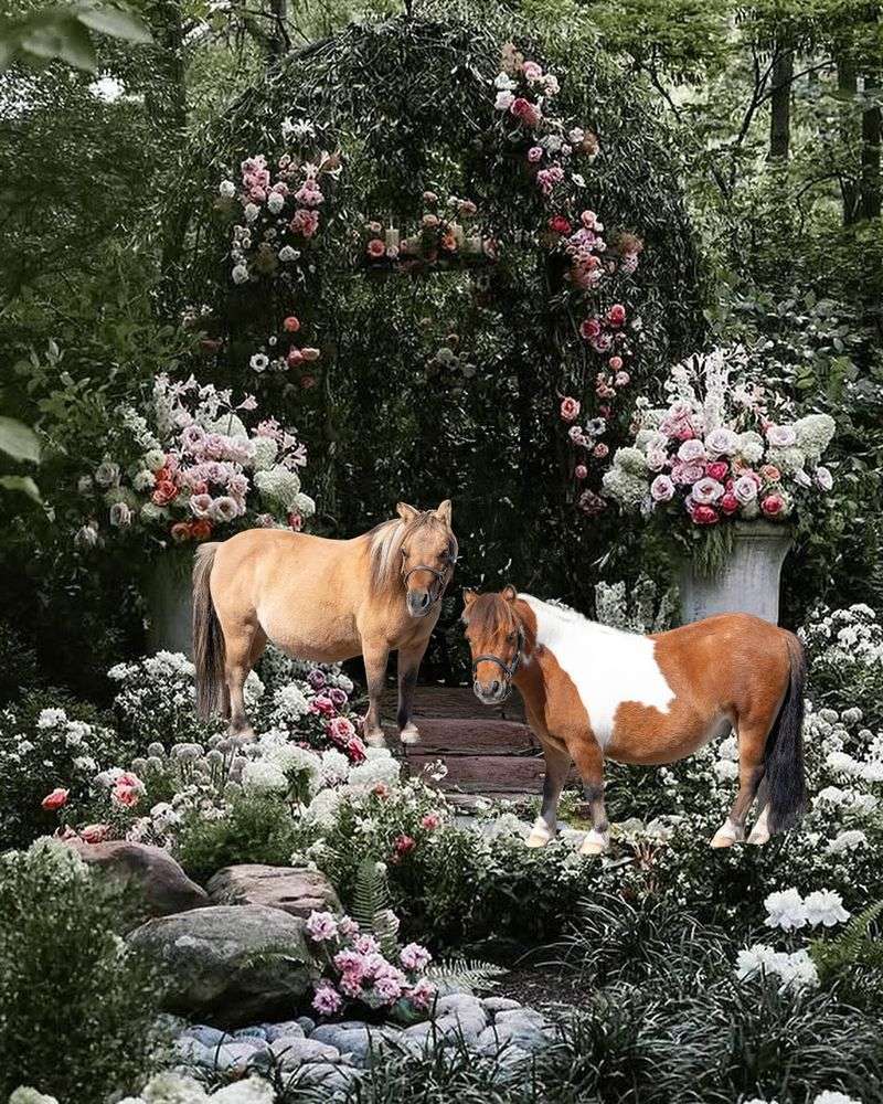 Lexington's English Cottage Garden Tour