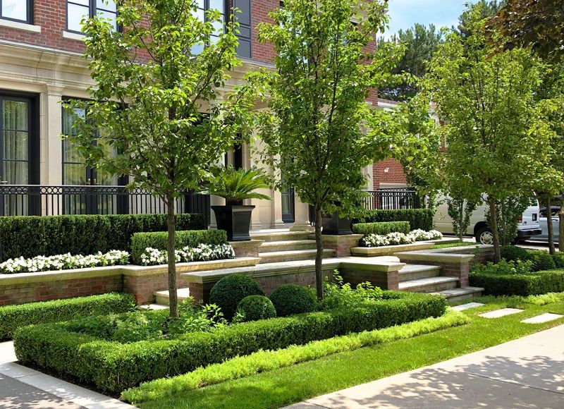 Ornamental Hedges
