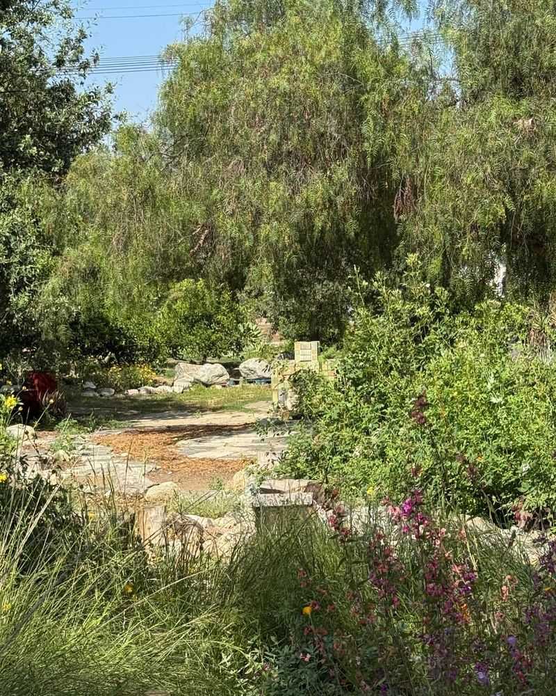 Arlington Garden