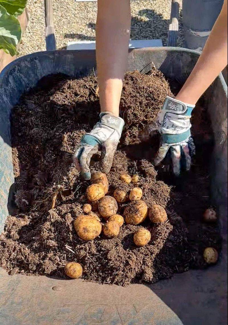 Grow Them Almost Anywhere