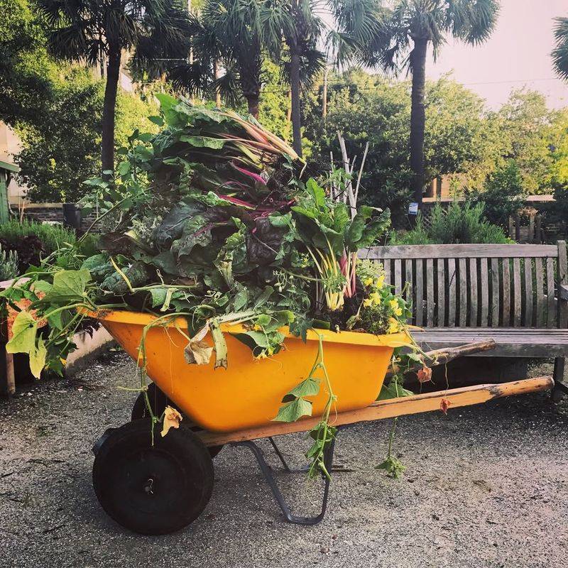 Scout Your Yard Regularly