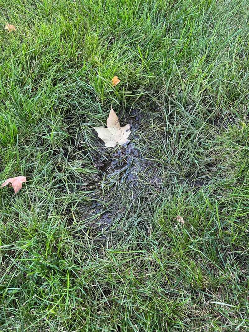 Provide Nearby Mud Sources