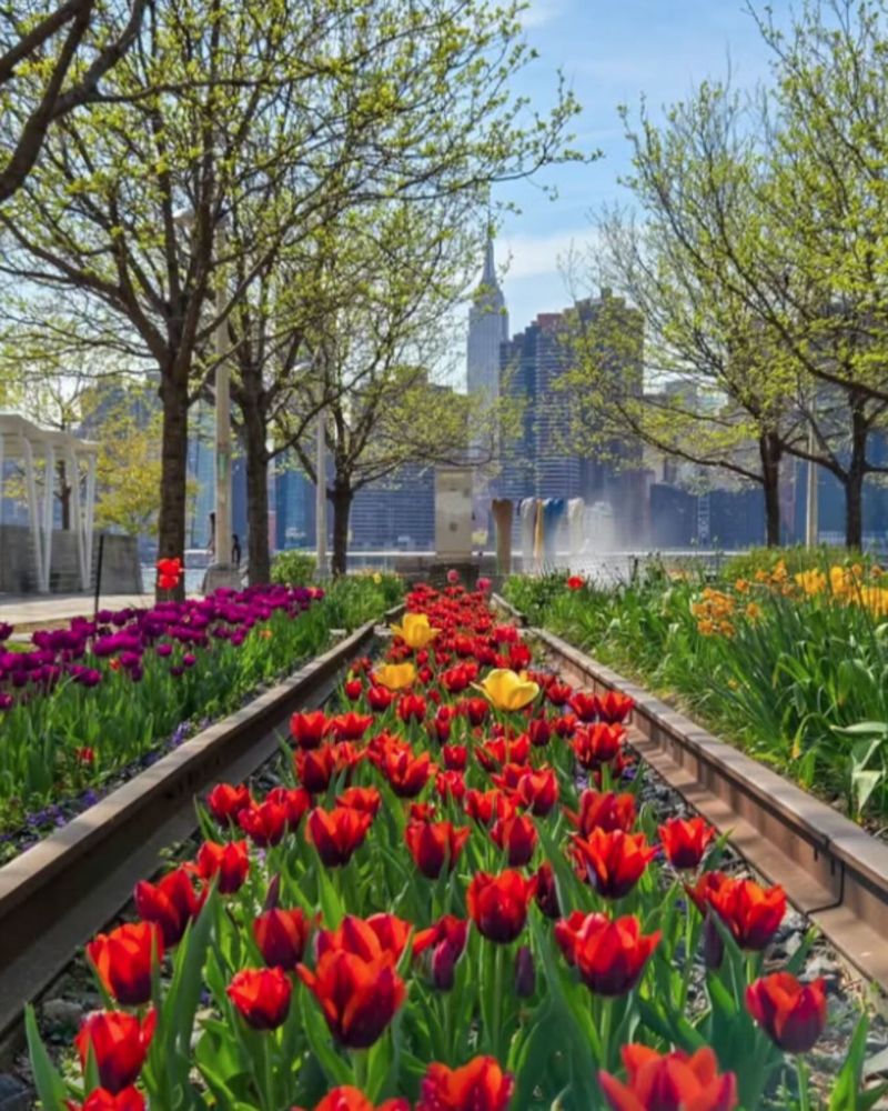 Queens, New York