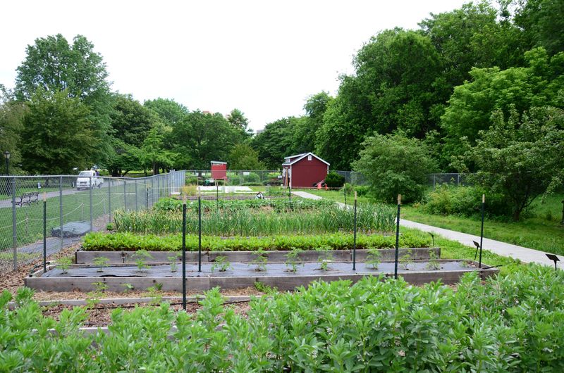 Urban Farm Experience: Queens Botanical Garden