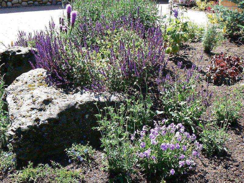 Sisters: High Desert Gardening With Volcanic Soil