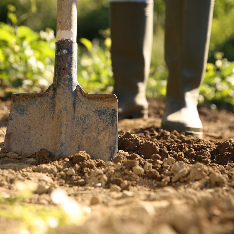 Test Your Soil