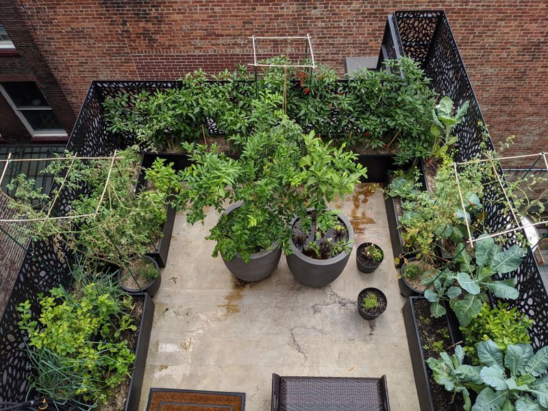 Vertical Growing Solutions