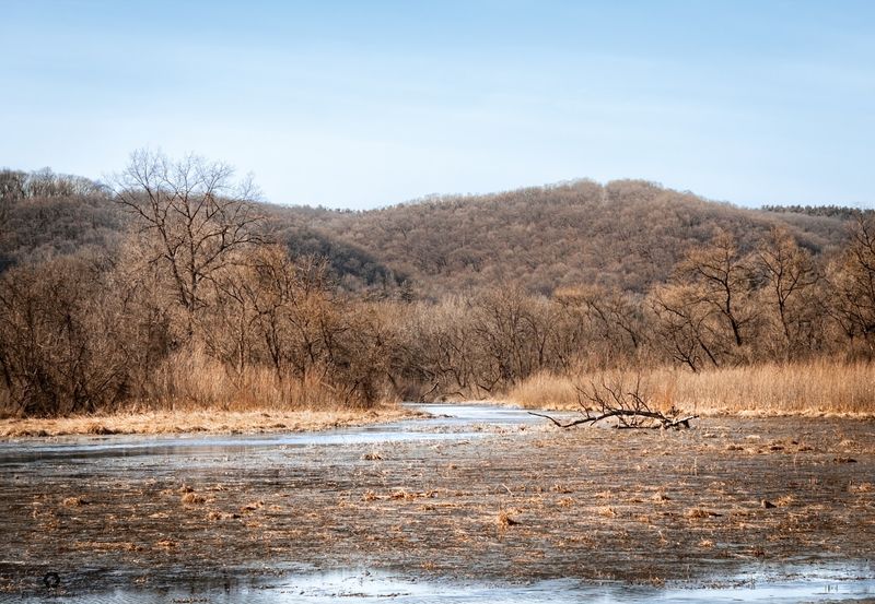 Yellow River State Forest