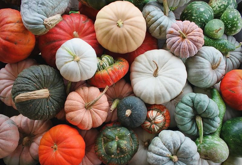 Fairy Tale Hybrid Squash