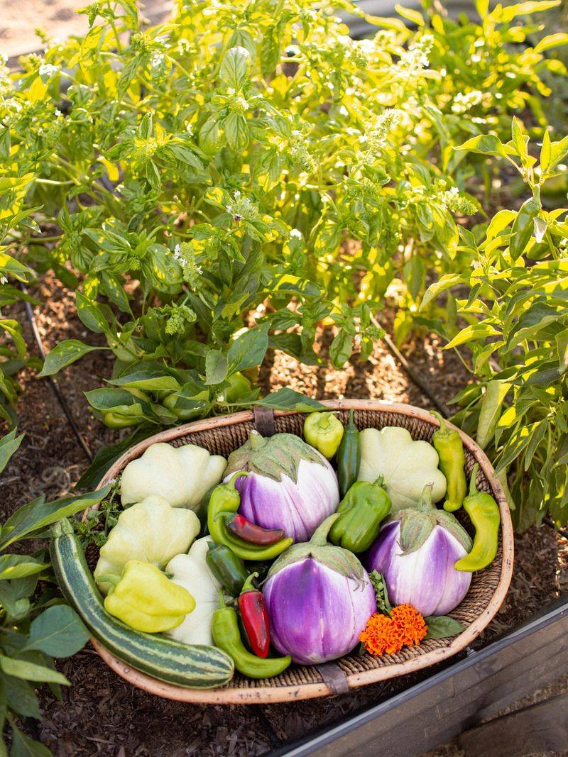 Community Harvest Swaps