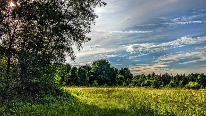 Sunny Valley Preserve's Forgotten Farmlands