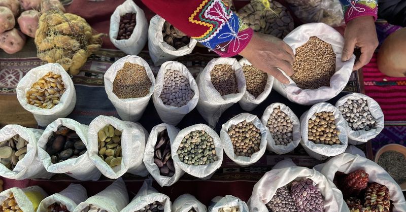 Seed Saving Traditions That Preserved Biodiversity