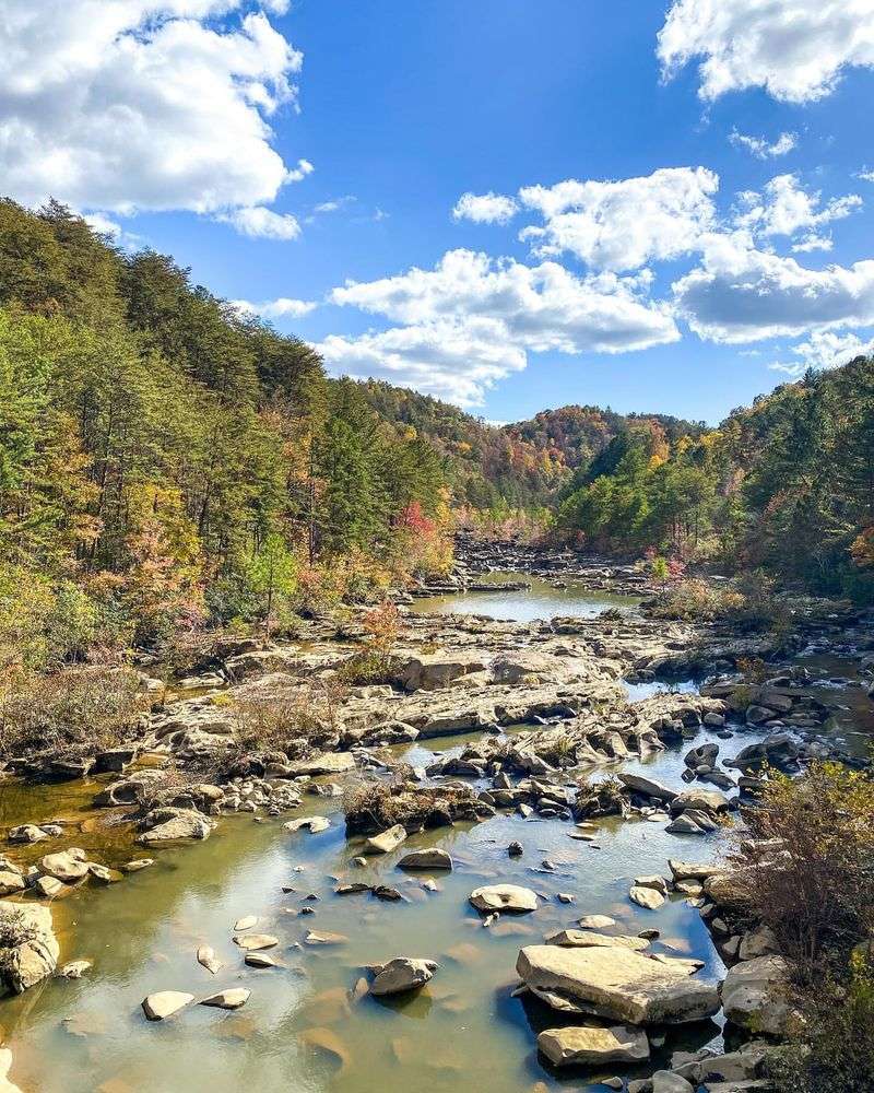 Cherokee National Forest