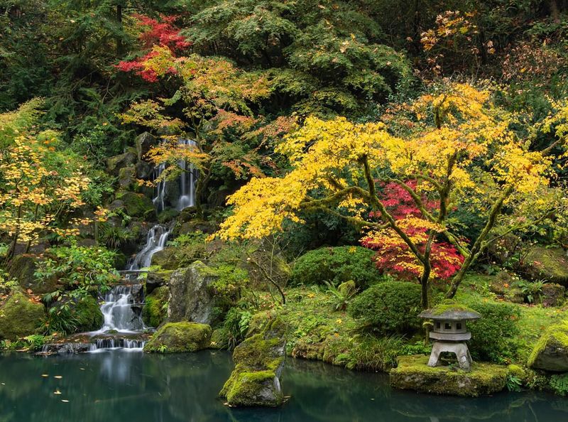 Natural Garden's Wild Beauty