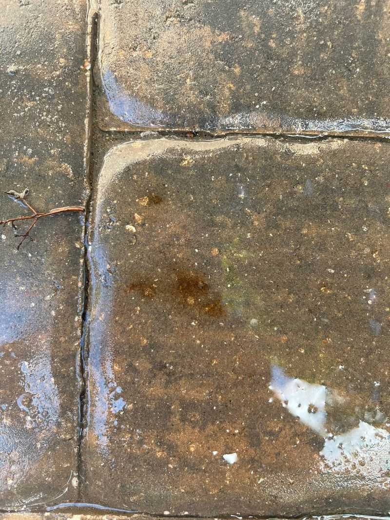 Stains On Sidewalks And Driveways