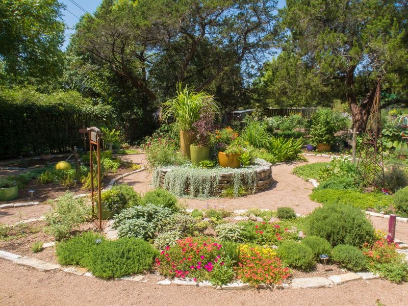 Mediterranean Herb Gardens Offer Fragrance and Function
